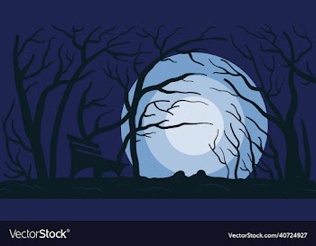 winter at the night background