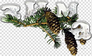 Winter Autumn Drawing Summer, winter transparent background PNG clipart