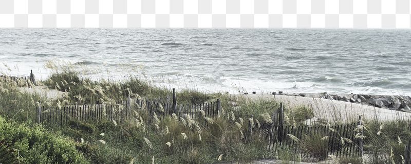 Winter beach png border, transparent | Free PNG - rawpixel