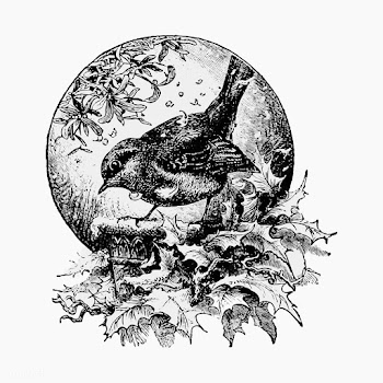 Winter bird in vintage style | Free stock vector - 556906