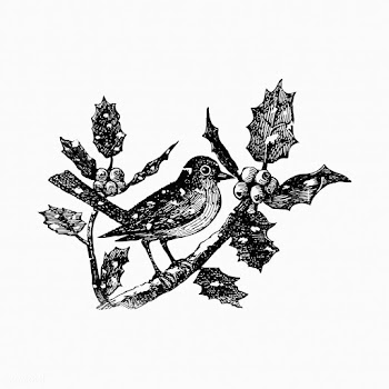 Winter bird in vintage style | Free stock vector - 556969