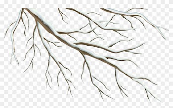 Winter Branch Png Clipart Image - Tree Branches Png