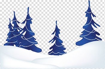 Winter Daytime Birthday New Year Holiday, christmas tree transparent background PNG clipart