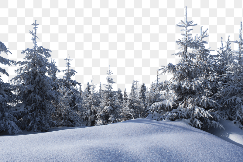 Winter forest png border sticker, | Free PNG - rawpixel