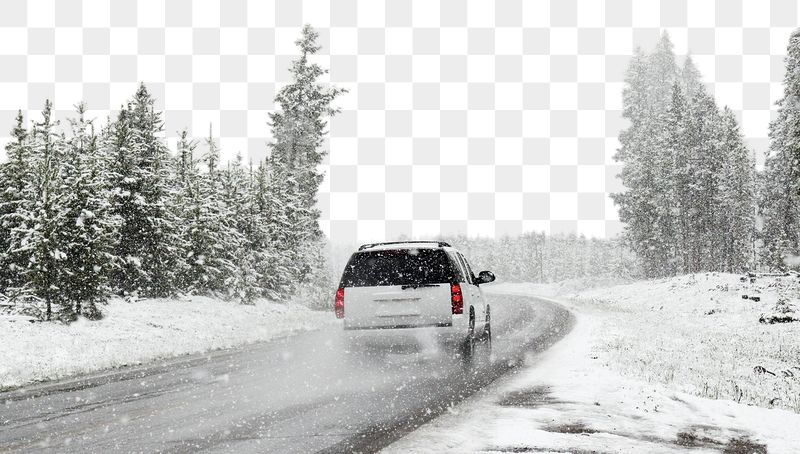 Winter forest png border, transparent | Free PNG - rawpixel