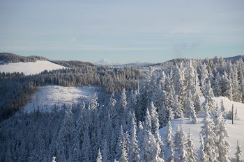 Winter | Free Photo - rawpixel