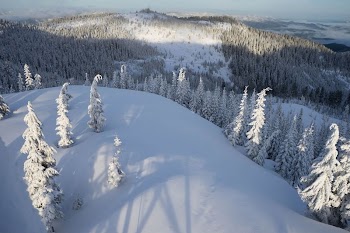 Winter | Free Photo - rawpixel