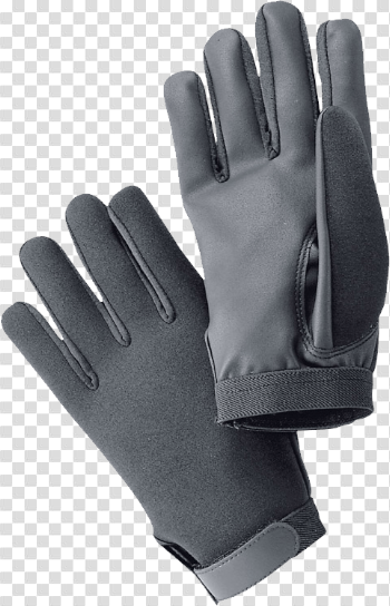 Winter Gloves Png Image
