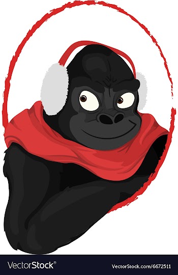 Winter gorilla with earmuff vector image