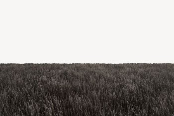 Winter grass field border, nature | Free PSD - rawpixel