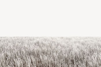 Winter grass field border, nature | Free PSD - rawpixel