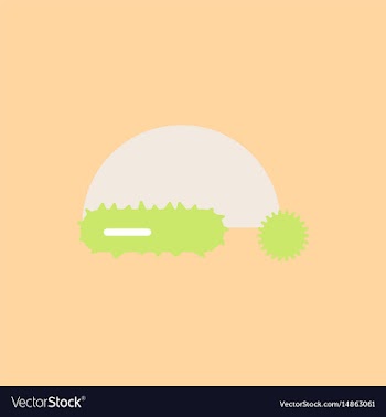 Winter hat santa hat vector image
