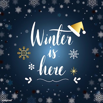 Winter is here typography vector | Free stock vector - 511133