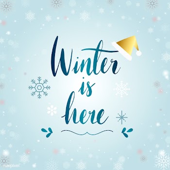 Winter is here typography vector | Free stock vector - 511136