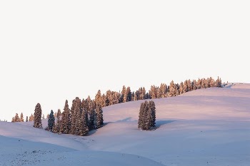 Winter landscape border collage element, | Free PSD - rawpixel