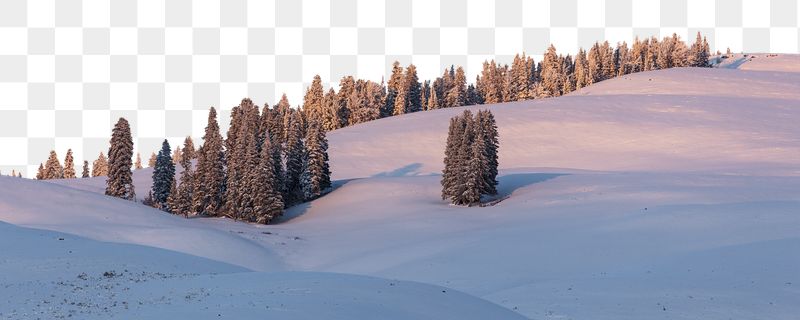 Winter landscape png border sticker, | Free PNG - rawpixel
