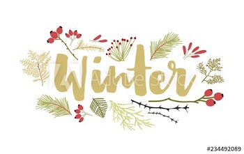 Winter lettering handwritten with cursive calligraphic font and decorated by coniferous tree branches and berries