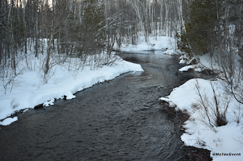Winter Nature Photography: A day outside in the snow! — Steemit