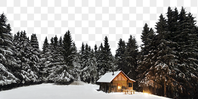 Winter pine forest png border, | Free PNG - rawpixel