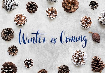 Winter season typography design mockup | Free stock psd mockup - 516378