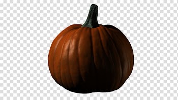 Winter squash Cucurbita, design transparent background PNG clipart