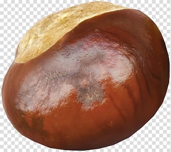 Winter squash Orange Cucurbita, Brown pine cone fruit transparent background PNG clipart