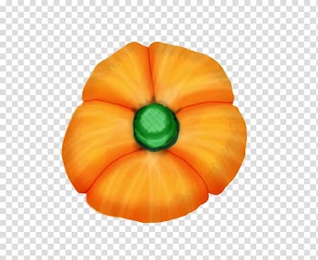 Winter squash Pumpkin Gourd Calabaza Cucurbita, pumpkin transparent background PNG clipart