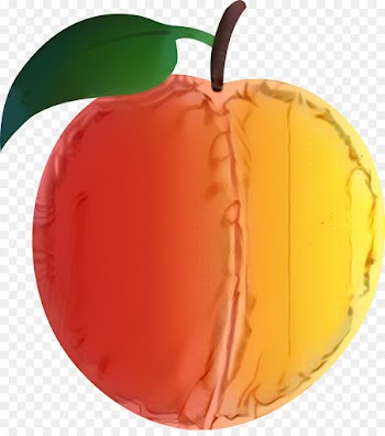 Winter Squash, Squash, Apple, Orange, Fruit PNG