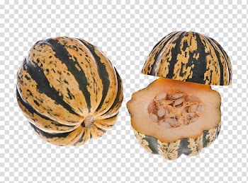 Winter squash Vegetable Pumpkin, Organic vegetables pumpkin transparent background PNG clipart