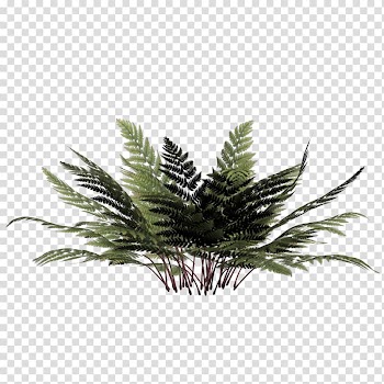 , Winter Tree transparent background PNG clipart