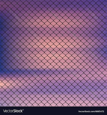 Wire Fence Against Sky vector image