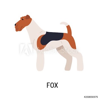 Wire Fox Terrier