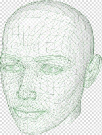 Wire-frame model Website wireframe Sketch, human head transparent background PNG clipart