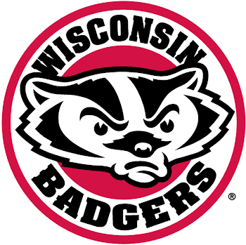 Wisconsin Badgers Alternate Logo - NCAA Division I (u-z) (NCAA u-z ...