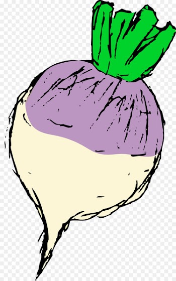 Wise Acres Farm Community-supported agriculture Clip art Vegetable - vegetable 