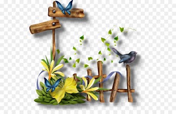 Wish, Blessing, Friday, Branch, Plant PNG