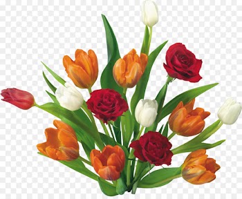 Wish SMS Message Greeting & Note Cards - bouquet of flowers 