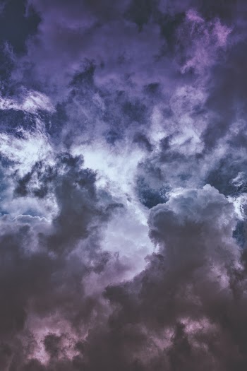 Wisteria clouds ...