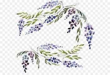 Wisteria Euclidean vector - Purple plant flowers 