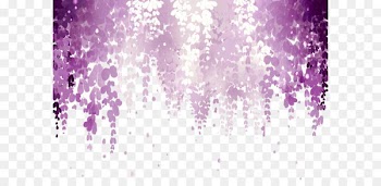 Wisteria floribunda Flower Pink Purple Wallpaper - Dream Wisteria picture material 