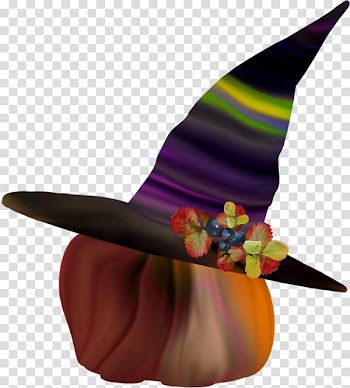 Witch hat, Pumpkin witch hat flowers transparent background PNG clipart