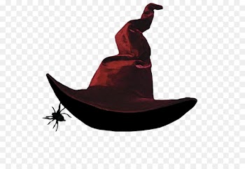 Witch hat The Wicked Witch of The West Costume Witchcraft - hat 