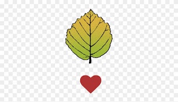 Witch Hazel Emporium - Hazel Leaf Clipart