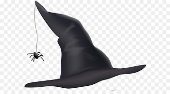 Witch Sea lion Animation Rubber stamp - Witch Hat Transparent PNG Clip Art 