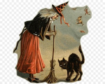 Witchcraft Halloween Culture Black cat Magic - Halloween 
