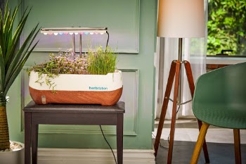 With Altifarm/Herbstation, freshness is always at reach during meal-preparation or consuming. No need to wash (and lose nutrients) as the food is grown in front of you with no pesticides or chemicals. No nutrient loss between harvesting and plating either.Grow seasonal plants or exotics. Grow salads or microgreens. How about ingredients for a smoothie, tea or soup? Possibilities are endless with Herbstation.   