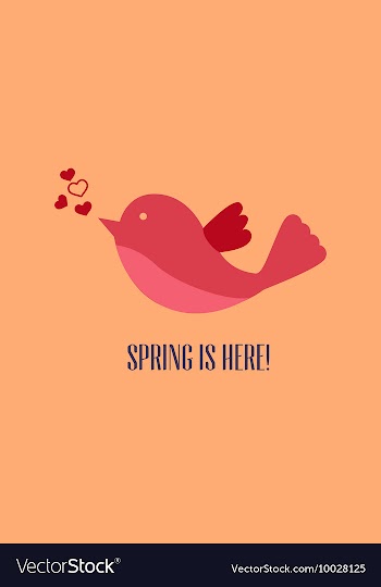 With bird and vector image