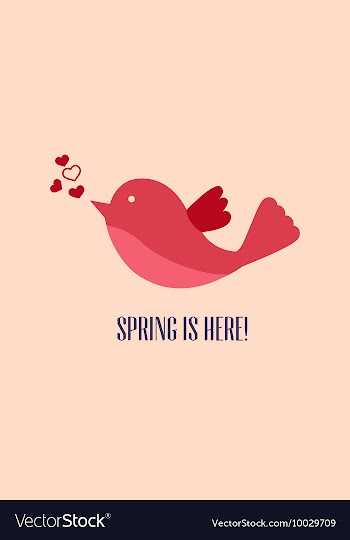 With bird and vector image