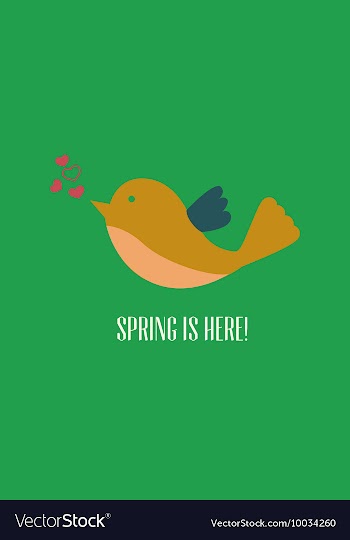 With bird and vector image