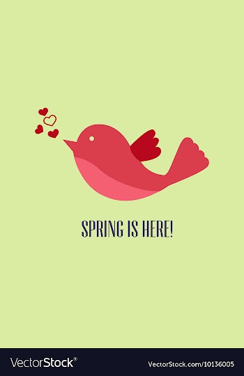 With bird and vector image